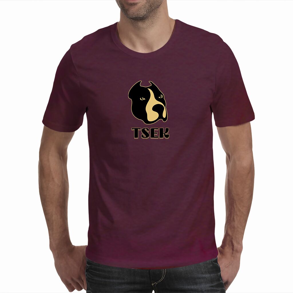 Tsek - Men's T Shirt ( Route 62 T'S )